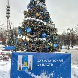 Фотография "Сахалинская елочка на ВДНХ 2023
"