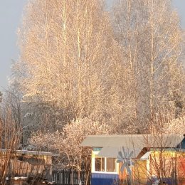 Фотография от Галина Перевозчикова