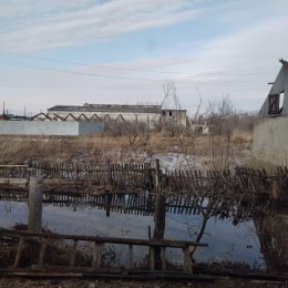 Фотография от Валентина Приходько