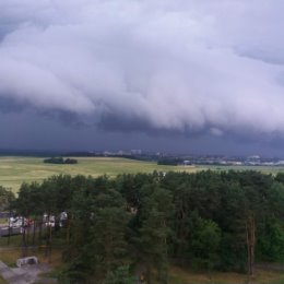 Фотография от евгений степанюк