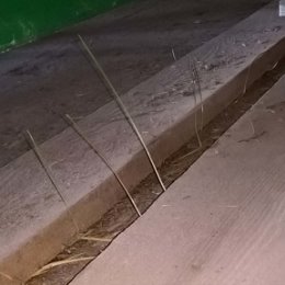 Фотография "https://www.instagram.com/p/BmkrwNFlOIO/?igref=okru
На Эко производстве трава растет даже из бетона

#люблюприроду #дом #эко #зож"