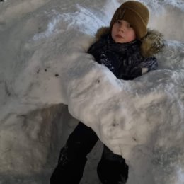 Фотография "В снежном капкане ❄️"