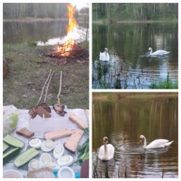 Фотография "Кто не умеет получать радость от малого, никогда не будет доволен и многим…
Экспромт...Просто вечер, просто ужин на траве и приятная компания😉👌🔥💫"