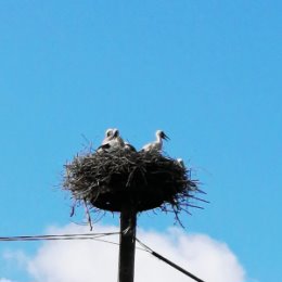 Фотография от Анатолий Супранович