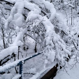 Фотография от Алла Шмалева