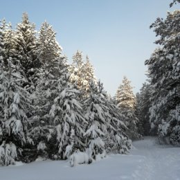 Фотография от Галина Соловьева (Драшко)