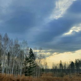 Фотография от Сергей Селецкий