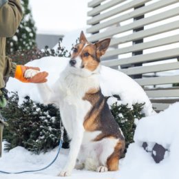 Фотография от 🐶🐶🐶 Elena