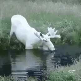 Фотография от Анатолий Никишин