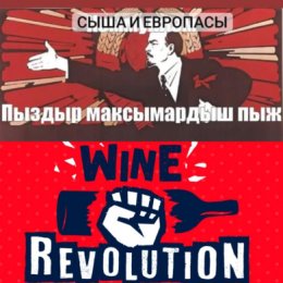 Фотография "Удивительное рядом 😀👉🍷"