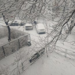 Фотография "Сегодня 14 марта в Шымкенте настоящая зима. Мы в фуфайке."