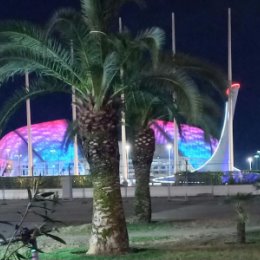 Фотография "Сочинский олимпийский парк, это как бы птица"