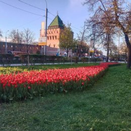 Фотография от Хан Алексей