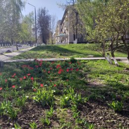 Фотография "ЧУДЕСНОЕ АПРЕЛЬСКОЕ  ВОСКРЕСНОЕ    УТРО. "