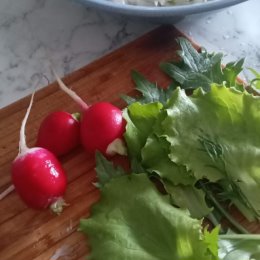 Фотография "Дождались! Сегодня сделаем  салатик"