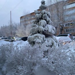 Фотография от Владимир Павловский