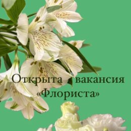 Фотография от ДАРИ ЦВЕТЫ