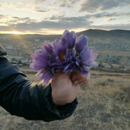 Фотография "Красота  Забайкалье.  В  Оловянной. "