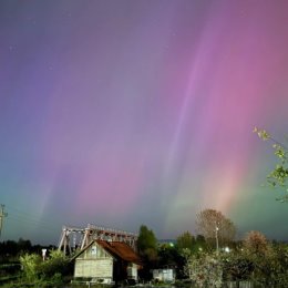 Фотография от Татьяна Прокофьева