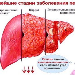 Фотография от Борис Белоусов