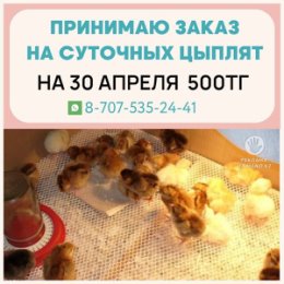 Фотография от Наталья Зыкова