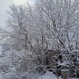 Фотография "23.04.24  зима не отступает"