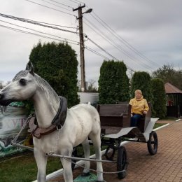 Фотография от Елена Пархоменко(Сидоренко)