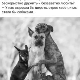 Фотография от Вольдемар Фонтанный