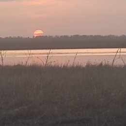 Фотография "Закат на озере М. Моховое. "