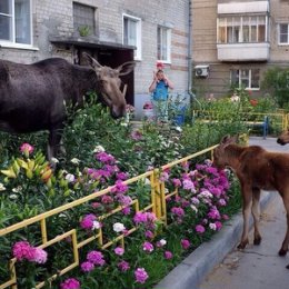 Фотография от Валентина Лукошкина (Климова)