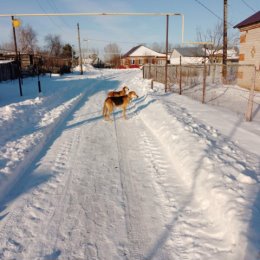 Фотография от Юрий Докторов