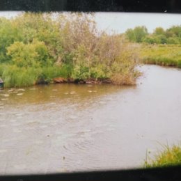 Фотография "Река Малый Андык в Д.Гурино ( куда бежали гурьбой,только пятки  сверкали,что там сейчас?)"