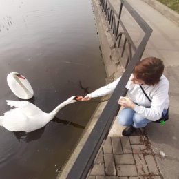 Фотография от Марина Шавлюго (Колосова)