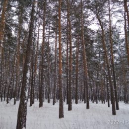 Фотография от Анастасия Александрова