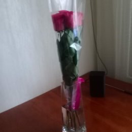 Фотография "Розовые розы для Елены Шухлиной "