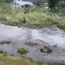 Фотография от Николай Стрепетов