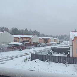 Фотография "С первым снегом."