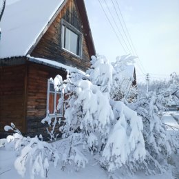 Фотография "Майский привет от уральской погоды всем садоводам и огородникам. 4 мая 2024"