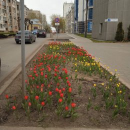 Фотография "Последний день апреля.🌷🌷🌷"