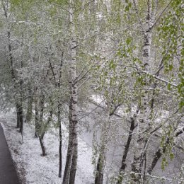 Фотография "Доброе весеннее утро  03.05.2024"