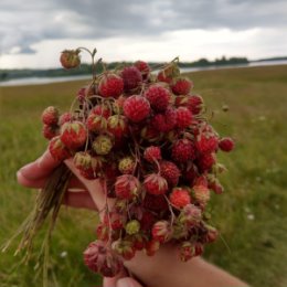 Фотография от Татьяна Теплова