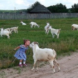 Фотография от ОЛЕГ Попов