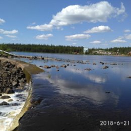 Фотография от Наталья Комарова