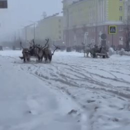 Фотография от Эдуард Кожин