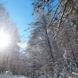 Фотография от Алла Семенова