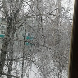 Фотография "Вот такая пришла зима, деревья стоят хрустальные. "