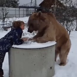 Фотография от Лиля Гегельман