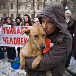 Фотография от Светлана Назарова  Кутищева