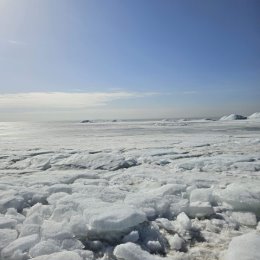 Фотография от Мария Меркулова