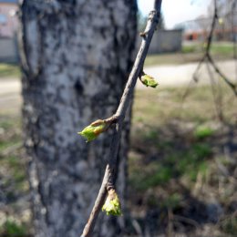 Фотография от Галина Иванова